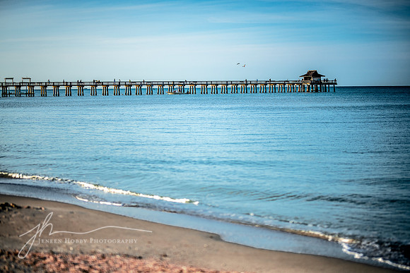 The Naples Pier #1, Florida