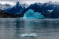 "Voice of Ice Blue"
