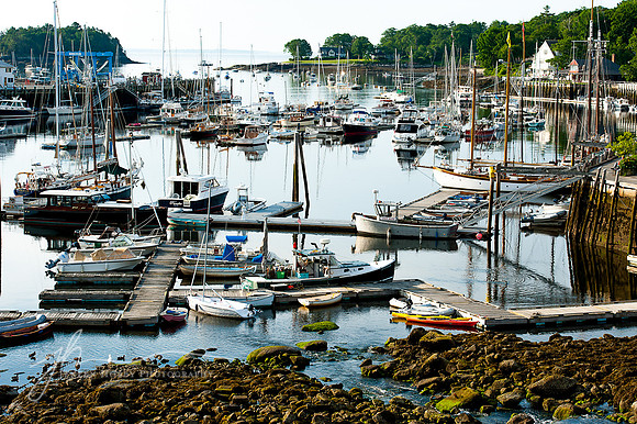 Camden Harbor #1