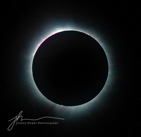 April 8, 2024 Total Solar Eclipse, Cleveland #7