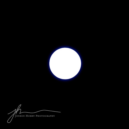 April 8, 2024 Total Solar Eclipse, Cleveland #1