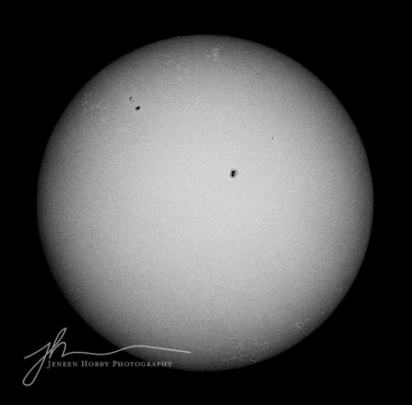 April 8, 2024 Total Solar Eclipse, Cleveland #21