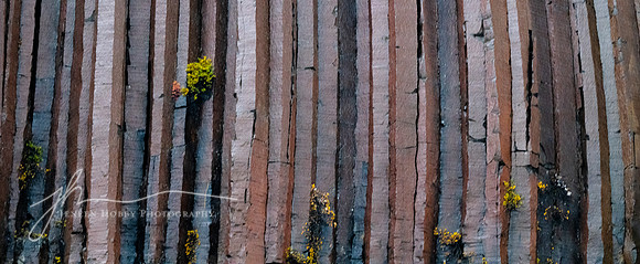 "Rock Strata in Fjord, detail", Greenland