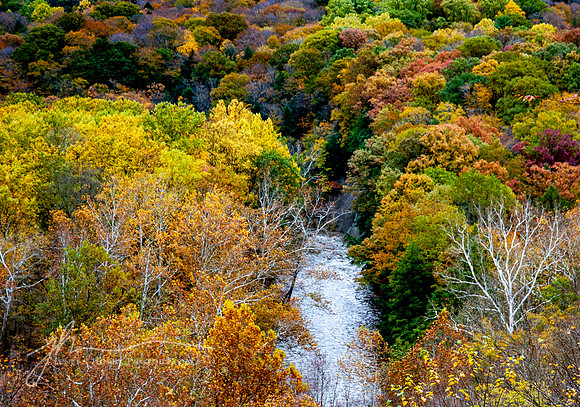 Bedford Overlook, Autumn, Cuyahoga Valley National Park, Ohio