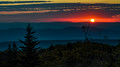 "Shining Through", Dolly Sods, West Virginia