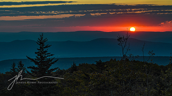 "Shining Through", Dolly Sods, West Virginia