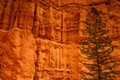 Bryce Canyon #6, Utah