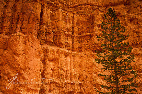 Bryce Canyon #6, Utah