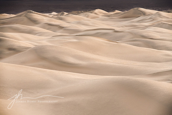"Serene Sea of Sand" Death Valley, California