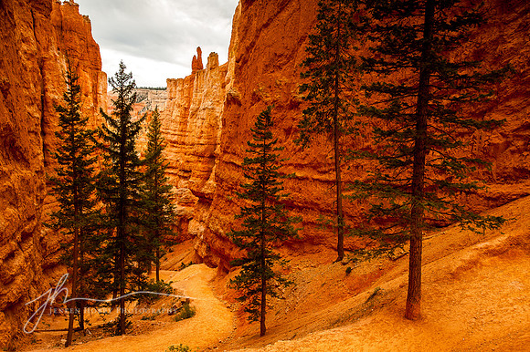 Bryce Canyon #1, Utah