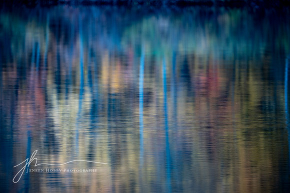 "Dreaming"--Hudson Springs Park, Ohio