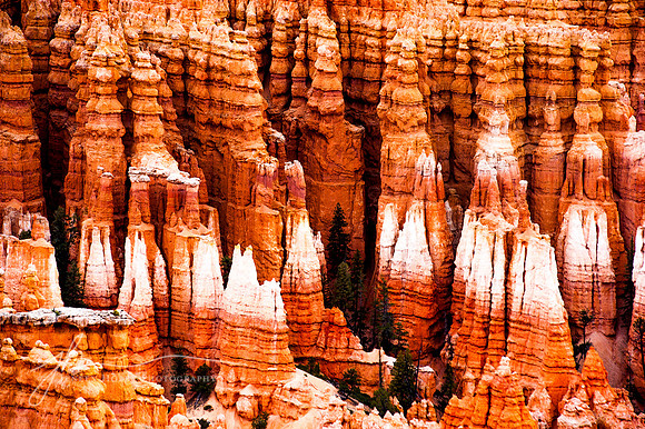 Bryce Canyon #3, Utah
