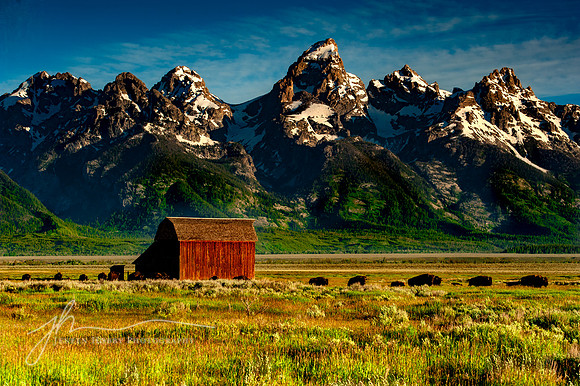 "Majesty", Moulton Barn #2, with bison, Grand Teton National Park, Wyoming