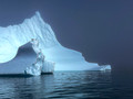 "Birds on Berg"