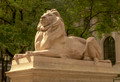 "Patience", marble lion outside New York Public Library