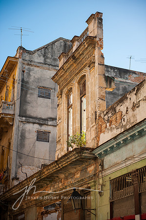 "Still Standing", Havana, Cuba