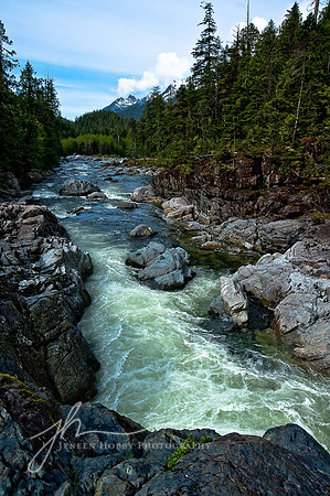 Vancouver Island #2