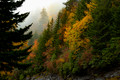 "Misty Morning" Along the Blue Ridge Parkway #1, North Carolina