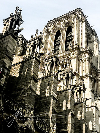 Notre Dame Cathedral #2, Paris, France