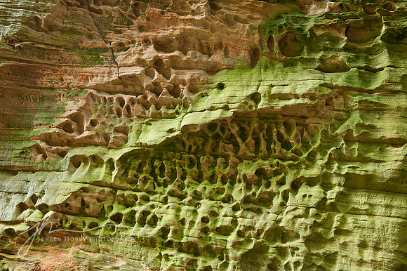 Sandstone close-up #1, Cantwell Cliffs, Hocking Hills, Ohio