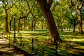 Central Park #1