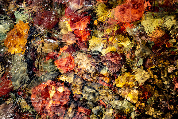 "Ripple of Color", Stones in Wilbur Creek, Glacier National Park, Montana
