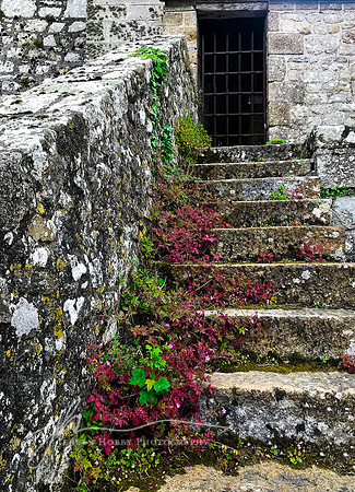 Mont Saint Michel, Normandy #4, France