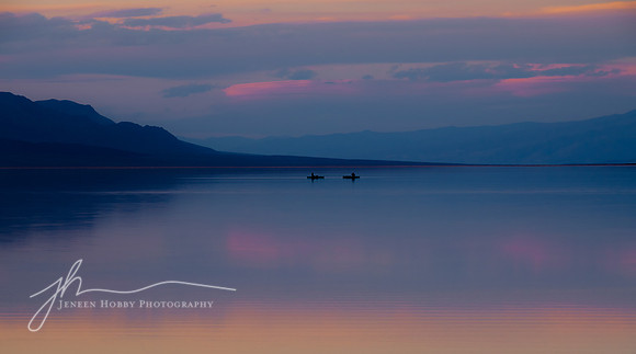 "Unlikely Visitors"--ancient Lake Manly, Death Valley, California