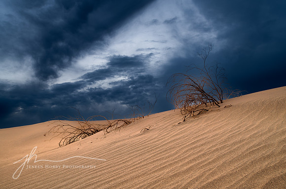 "Despite All Odds", Death Valley, California