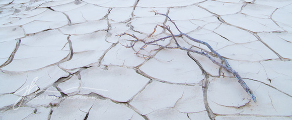 "Life and Death", Death Valley, California