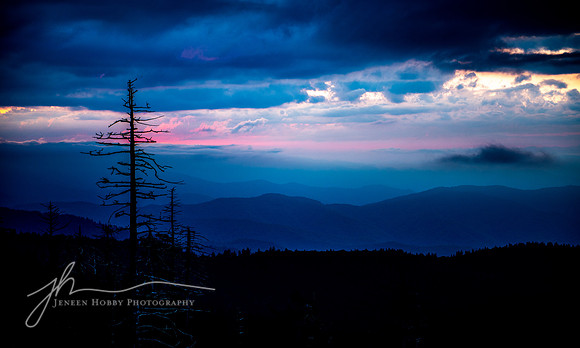 "Majestic in Magenta" Smoky Mountains, Tennessee