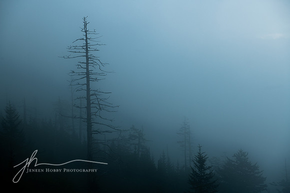 "Honor", Smoky Mountains, Tennessee