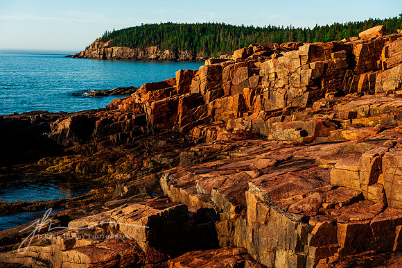 Near Monument Cove, Acadia National Park