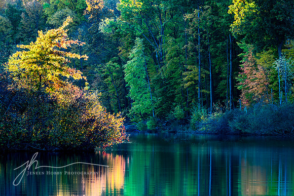 "My Many Colored Days"-- Hudson Springs Park, Ohio