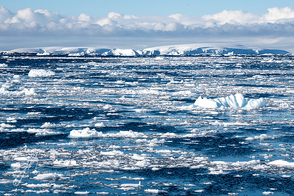 "Brash Ice"