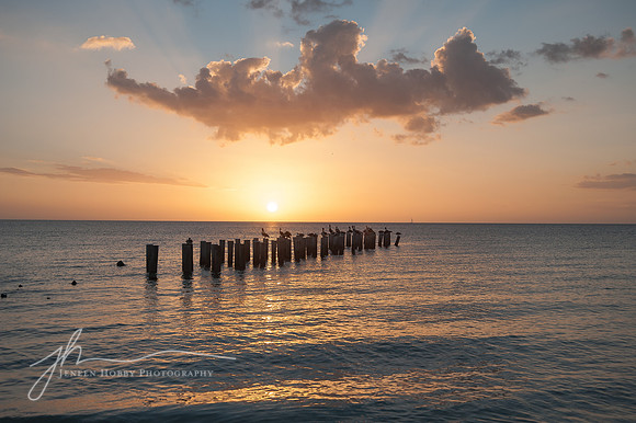 Naples pilings #4, Florida