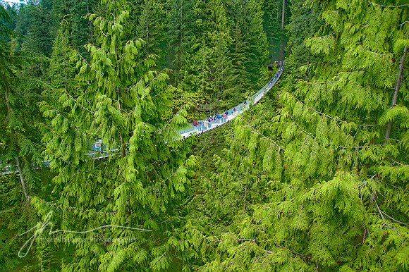 Capilano Suspension Bridge, Vancouver