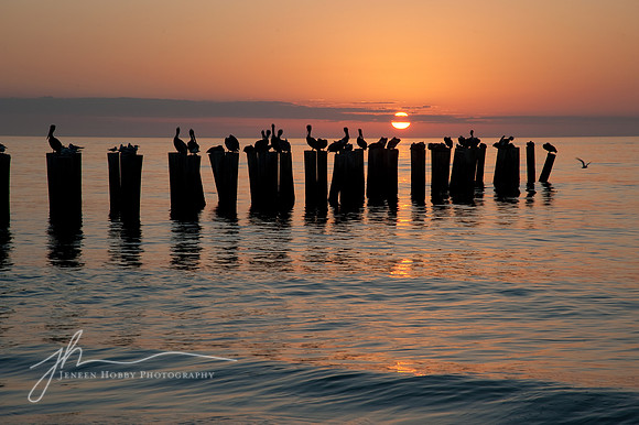 Naples pilings #2, Florida