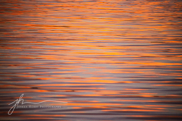 Gulf of Mexico sunset, Florida