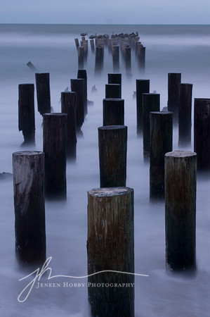 "Steadfast"--Naples pilings #1, Florida