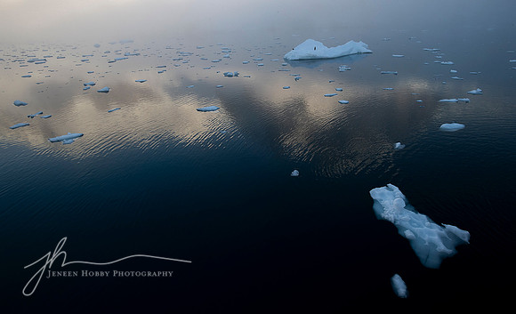 "Abstract Reflection in the Antarctic Ocean"